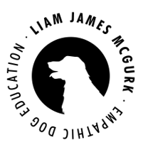 Liam James McGurk Dog Trainer Ibiza & Barcelona