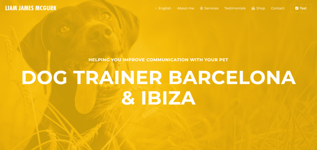 liam james mcgurk . dog trainer Ibiza